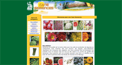 Desktop Screenshot of canesem.com